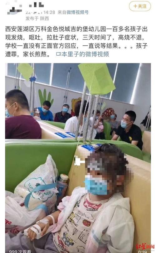 余杭宝宝爆料事件最新,真相揭秘，网络舆论漩涡中的家庭悲剧