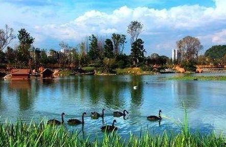 花果园爆料事件视频大全,揭秘背后真相与争议