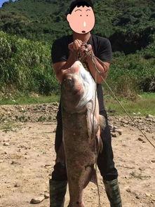 胖头鱼被爆料视频大全图片,揭秘网络红人幕后真相