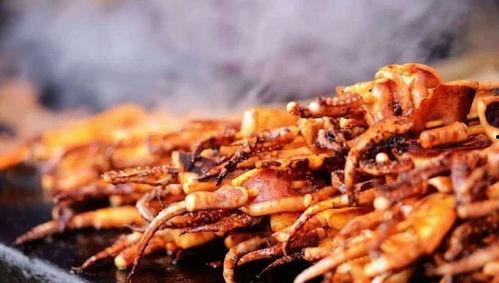 街头鱿鱼爆料怎么做视频,揭秘视频制作全攻略