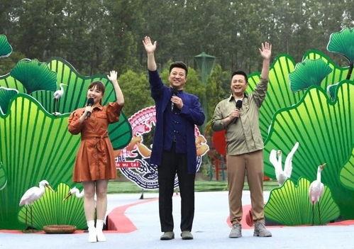 泗阳最新爆料新闻视频,视频揭露惊人真相，引网友热议！