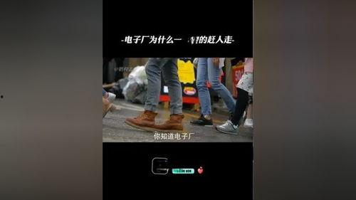 电子厂工作视频热点爆料,揭秘热门视频背后的工作现场