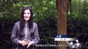 白鹤大人爆料视频,独家内幕大公开