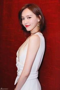 刘岩爆料刘亦菲视频大全,揭秘娱乐圈背后的故事