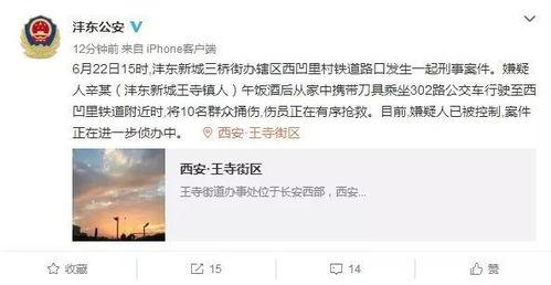 爆料陕西西安事件最新消息,揭秘真相与后续影响