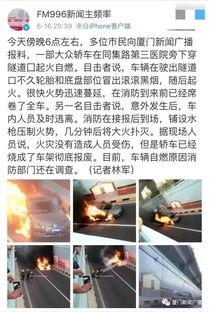 厦门市新闻爆料,聚焦城市动态与民生热点