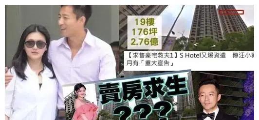 张兰遗憾爆料视频在线观看,揭秘背后真相